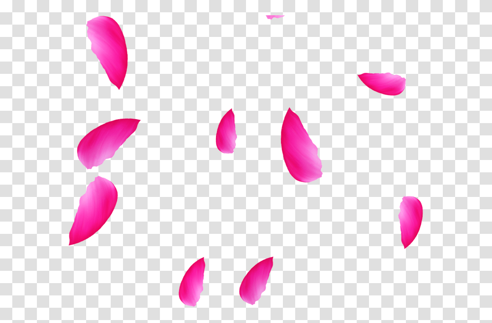 Clip Art, Petal, Flower, Plant, Blossom Transparent Png