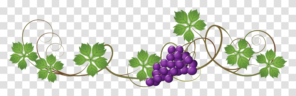Clip Art Picture Free Download Grape Leaf Vector Free, Plant, Grapes, Fruit, Food Transparent Png