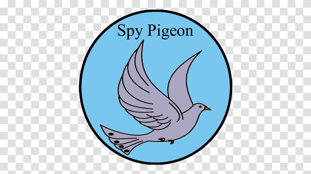 Clip Art, Pigeon, Bird, Animal, Dove Transparent Png