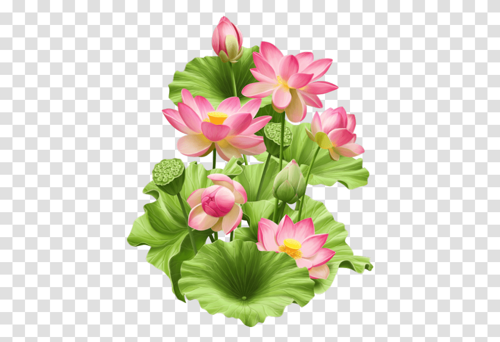 Clip Art Pin By On Hoa Sen P Psd, Plant, Flower, Blossom, Lily Transparent Png