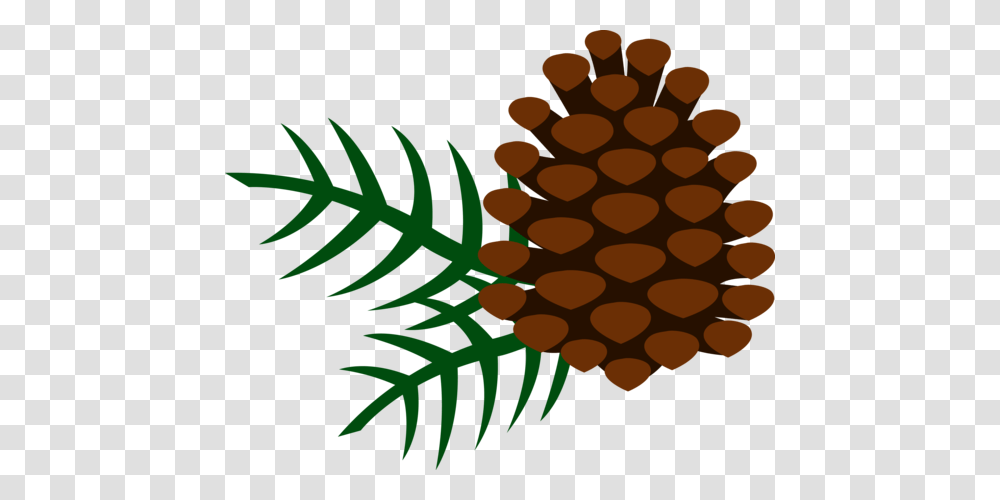 Clip Art Pine Cone, Plant, Green, Rug, Fern Transparent Png