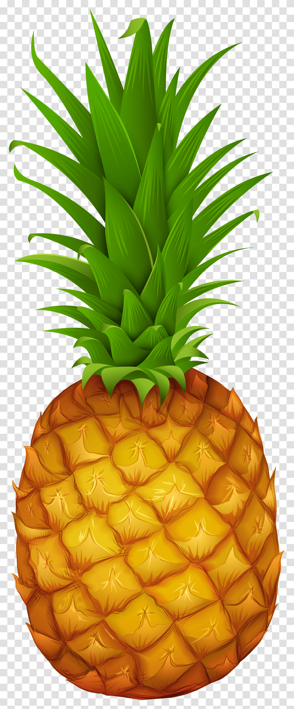 Clip Art Pineapple Gallery Yopriceville High Clip Art Pineapple Transparent Png