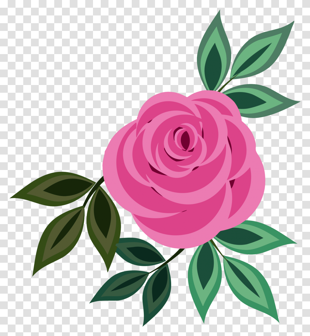 Clip Art Pink Rose, Flower, Plant, Blossom, Bud Transparent Png