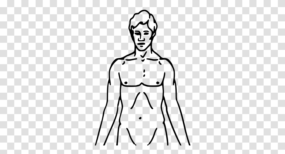 Clip Art Pioneer Plaque Man Upper Body As Diagram Template, Gray, World Of Warcraft Transparent Png
