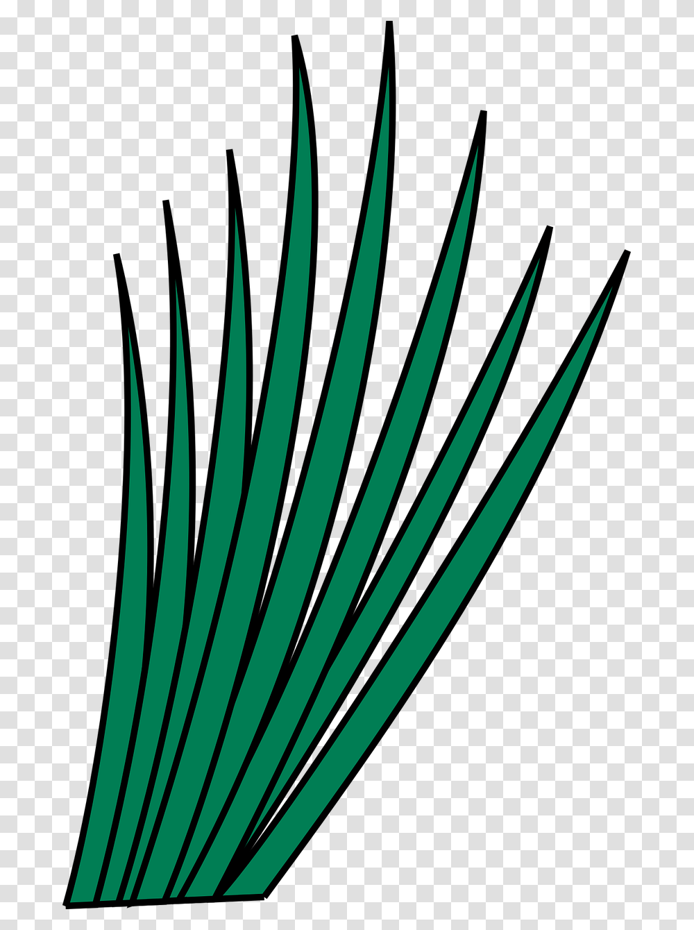 Clip Art, Plant, Arrow, Spoke Transparent Png