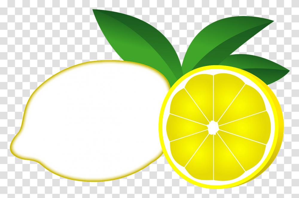 Clip Art, Plant, Citrus Fruit, Food, Lemon Transparent Png