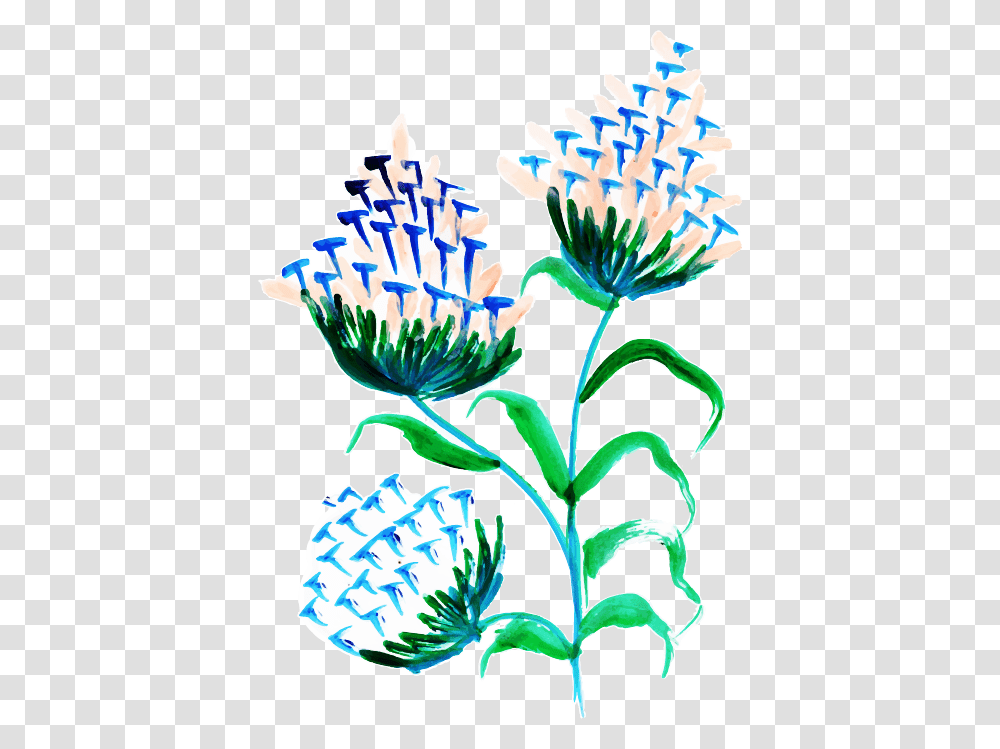 Clip Art, Plant, Flower, Blossom, Agapanthus Transparent Png