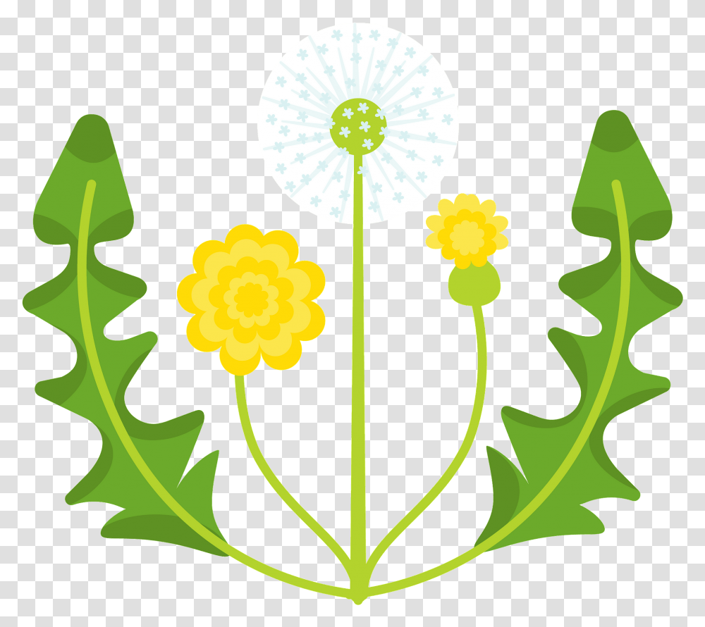 Clip Art, Plant, Flower, Blossom, Dandelion Transparent Png