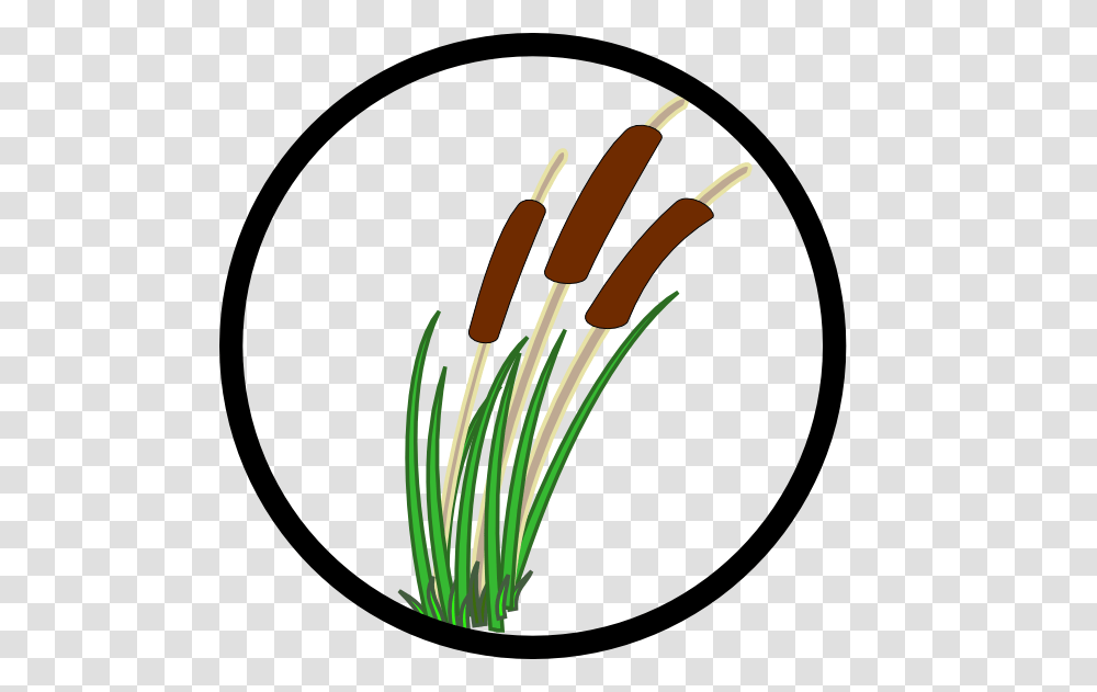 Clip Art, Plant, Flower, Blossom, Grass Transparent Png