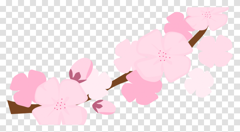 Clip Art, Plant, Flower, Blossom, Petal Transparent Png