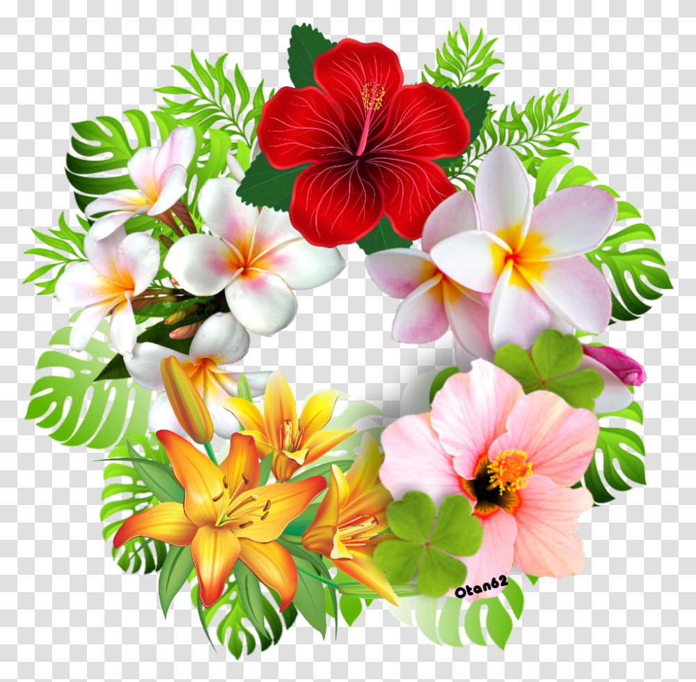 Clip Art, Plant, Flower, Blossom, Petal Transparent Png