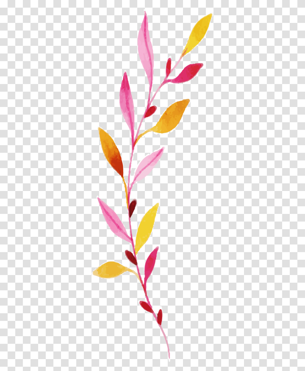 Clip Art, Plant, Flower, Blossom, Petal Transparent Png