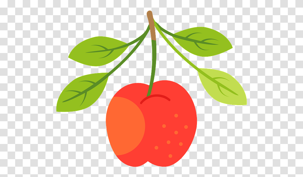 Clip Art, Plant, Fruit, Food, Cherry Transparent Png