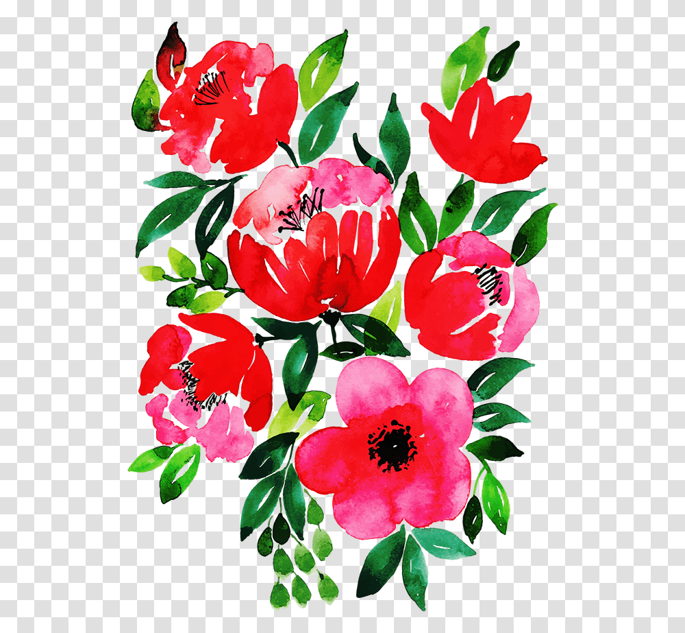 Clip Art, Plant, Geranium, Flower, Blossom Transparent Png