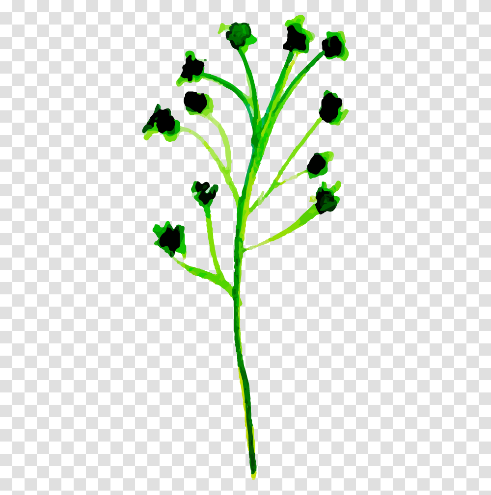 Clip Art, Plant, Green, Flower, Blossom Transparent Png