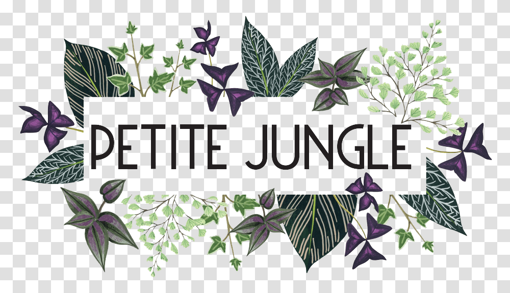 Clip Art, Plant, Leaf, Floral Design, Pattern Transparent Png