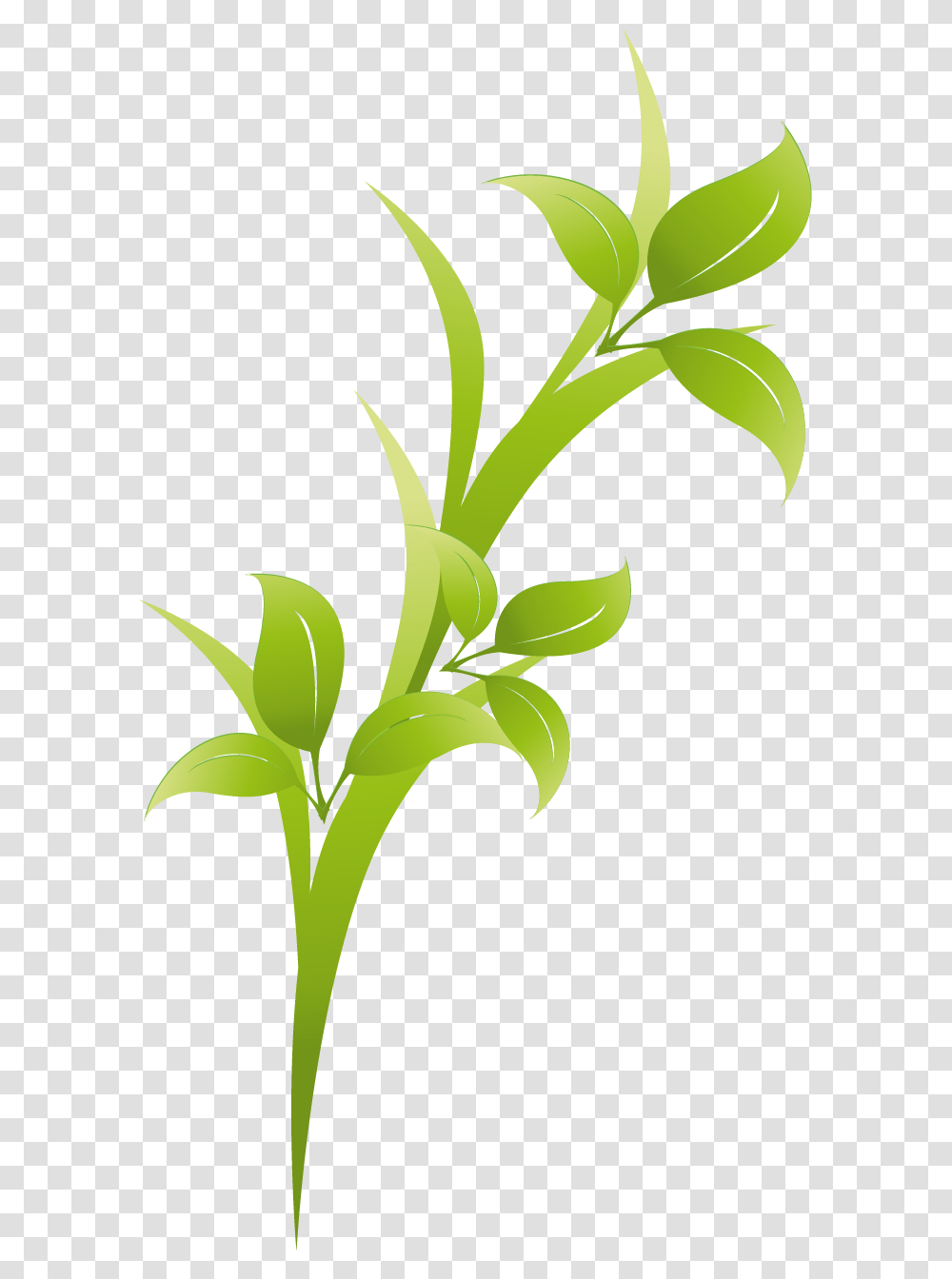 Clip Art, Plant, Leaf, Flower, Blossom Transparent Png