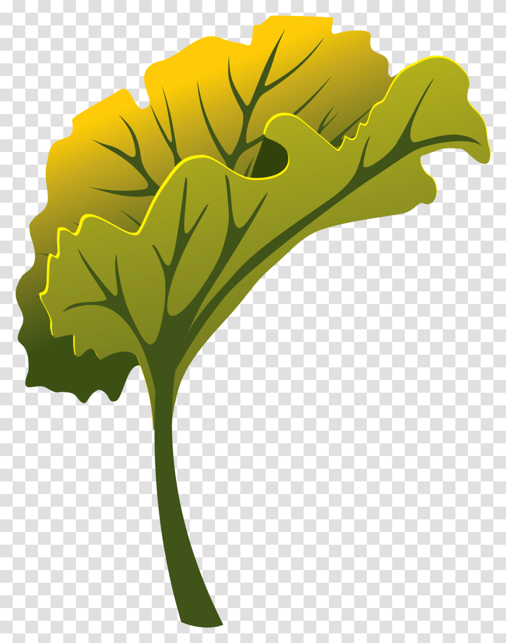 Clip Art, Plant, Leaf, Green, Vegetable Transparent Png