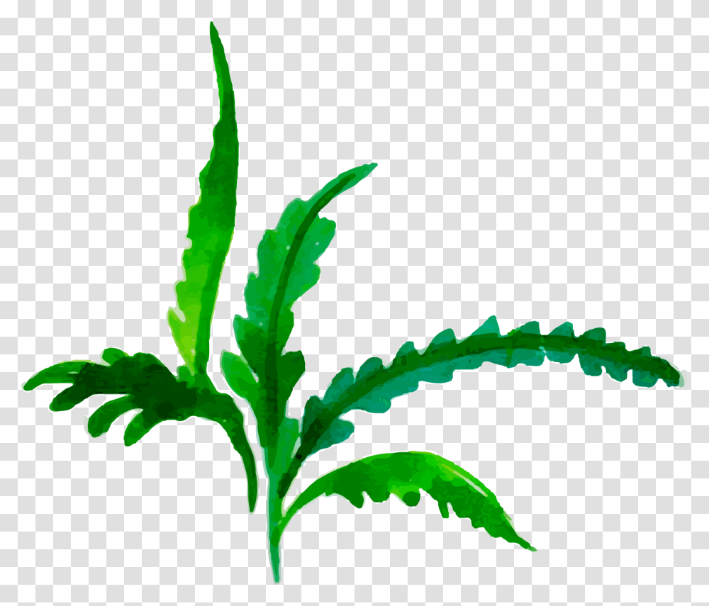 Clip Art, Plant, Leaf, Hemp, Weed Transparent Png