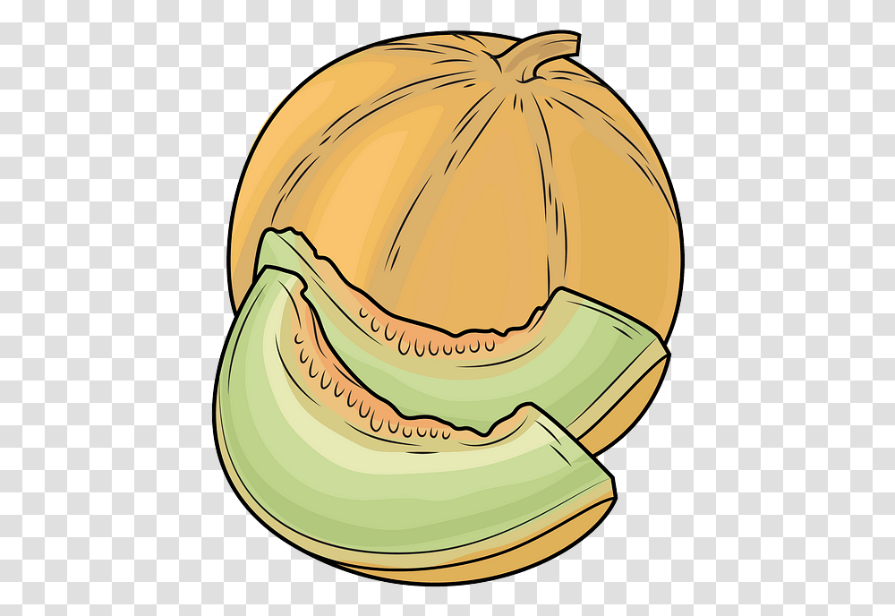 Clip Art, Plant, Melon, Fruit, Food Transparent Png