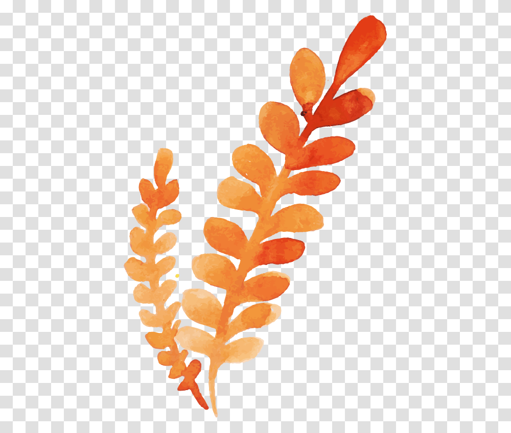 Clip Art, Plant, Peel, Astragalus, Flower Transparent Png