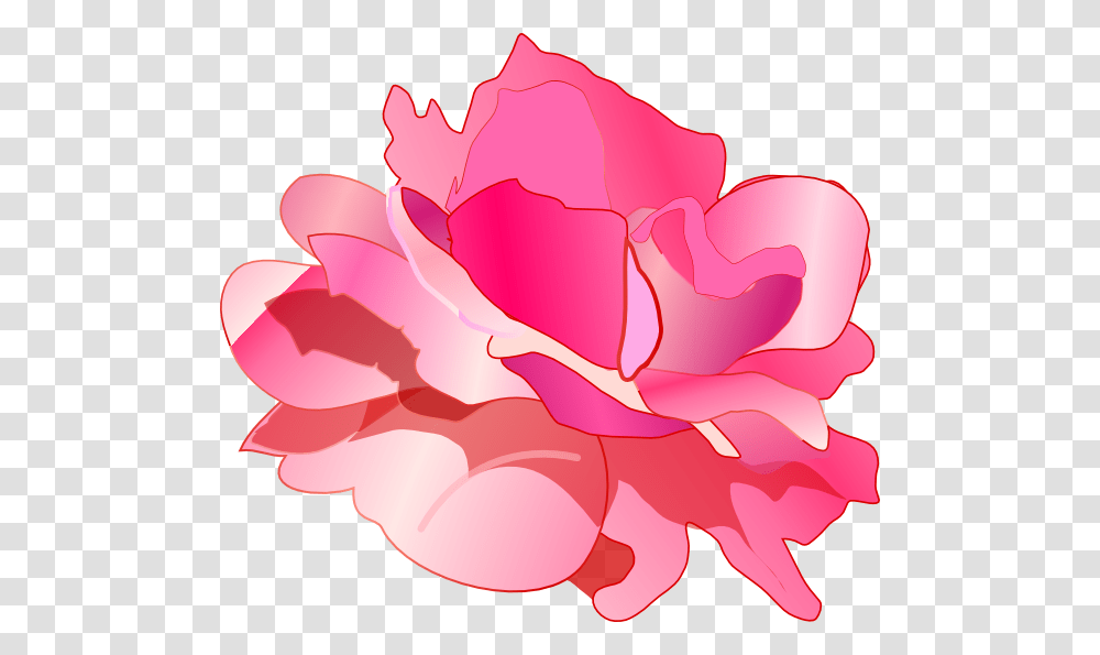 Clip Art, Plant, Petal, Flower, Blossom Transparent Png