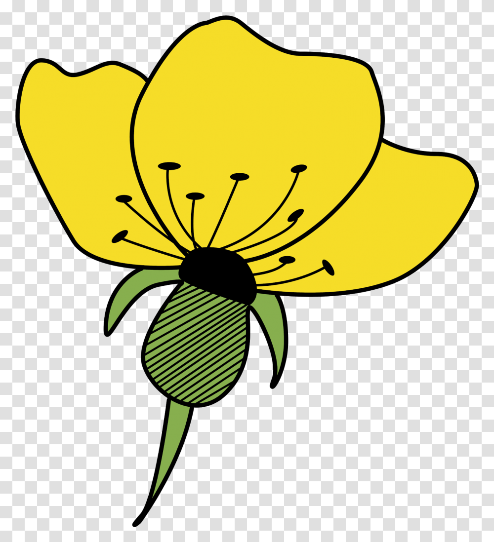 Clip Art, Plant, Petal, Flower, Blossom Transparent Png