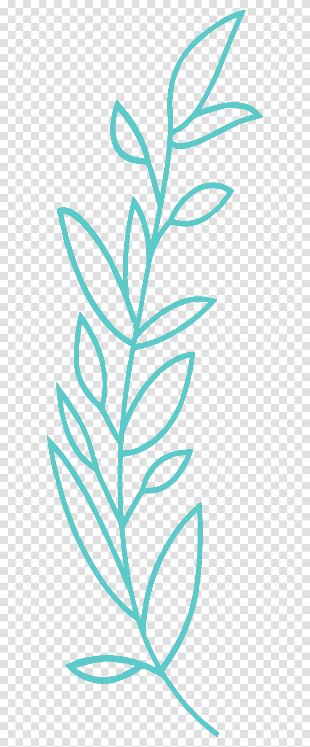 Clip Art, Plant, Pineapple, Fruit, Food Transparent Png