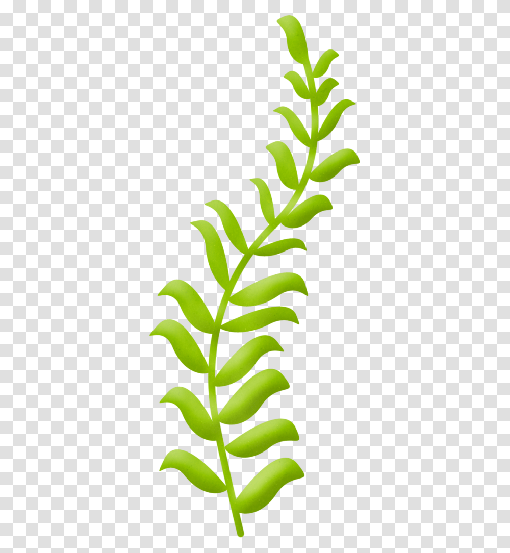 Clip Art, Plant, Pineapple, Fruit, Food Transparent Png