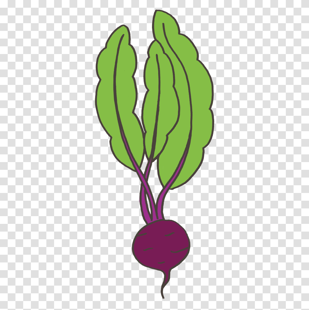 Clip Art, Plant, Produce, Food, Vegetable Transparent Png