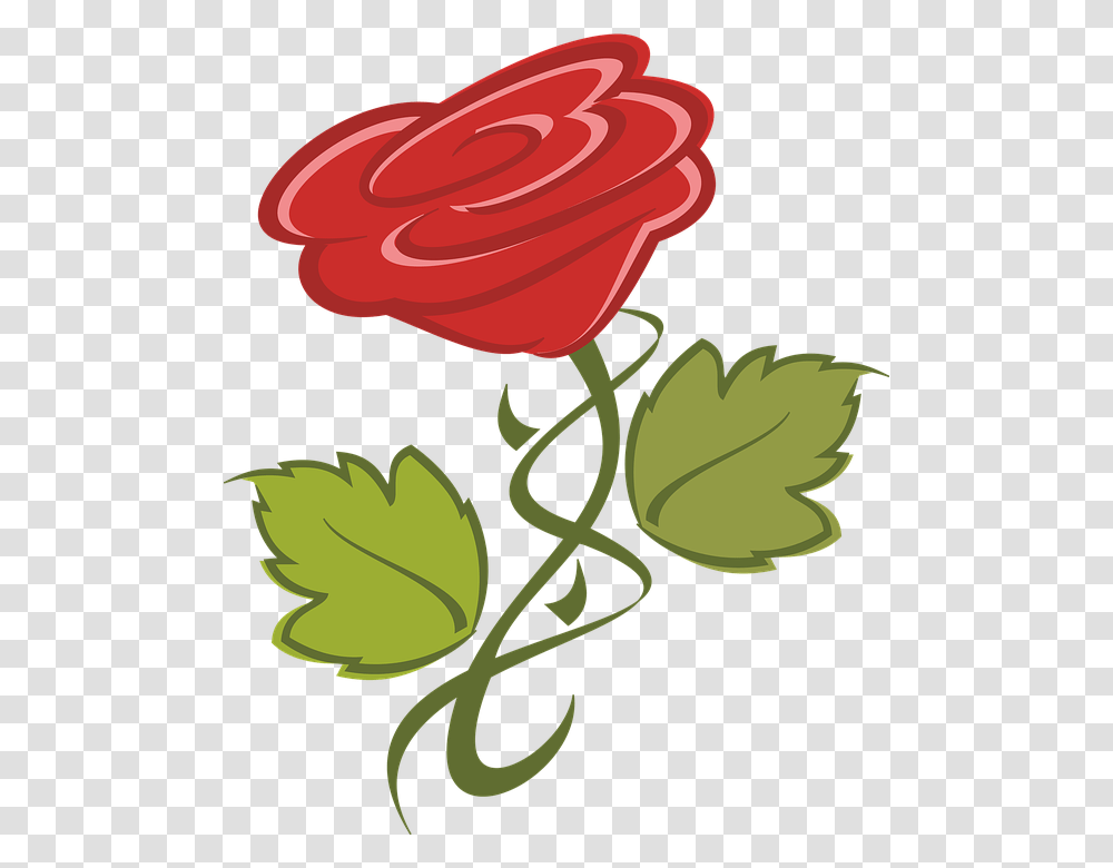 Clip Art, Plant, Rose, Flower, Blossom Transparent Png