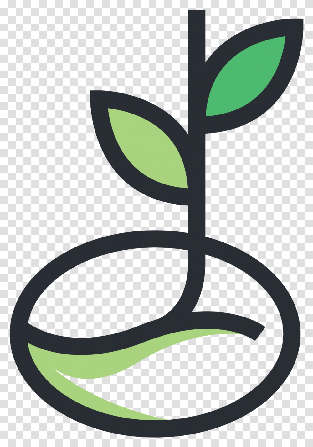 Clip Art, Plant, Sprout, Tree Transparent Png