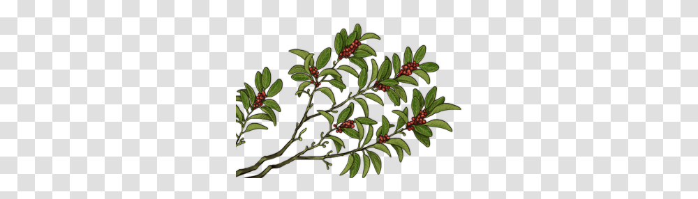Clip Art, Plant, Tree, Conifer, Pattern Transparent Png
