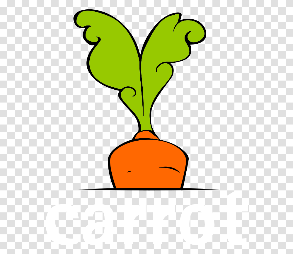 Clip Art, Plant, Tree, Root, Vegetation Transparent Png