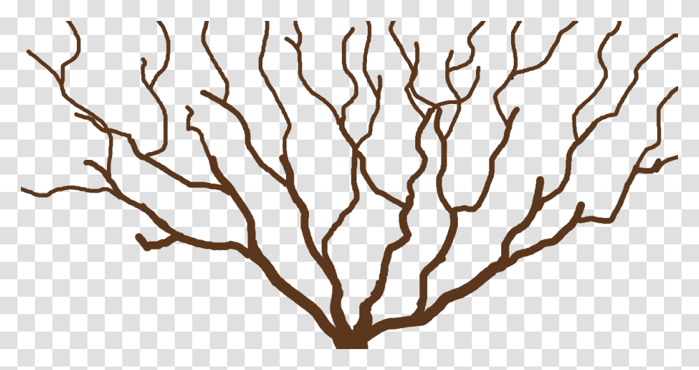 Clip Art, Plant, Tree, Tree Trunk, Root Transparent Png