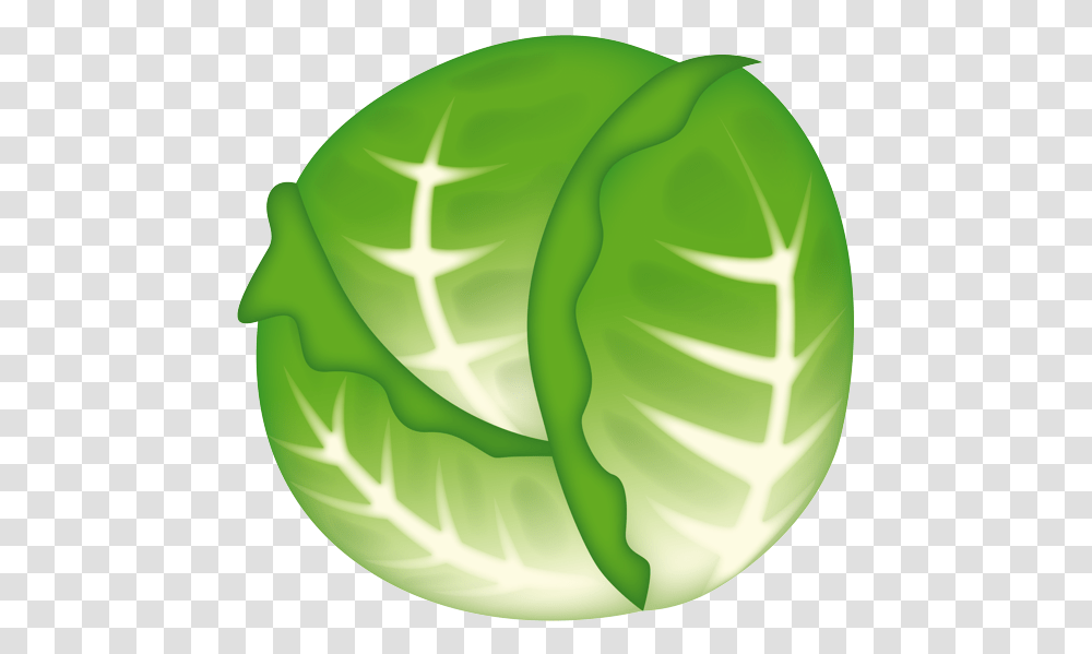 Clip Art, Plant, Vegetable, Food, Head Cabbage Transparent Png