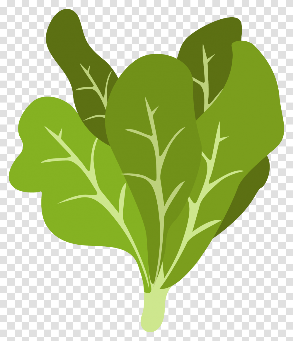 Clip Art, Plant, Vegetable, Food, Spinach Transparent Png