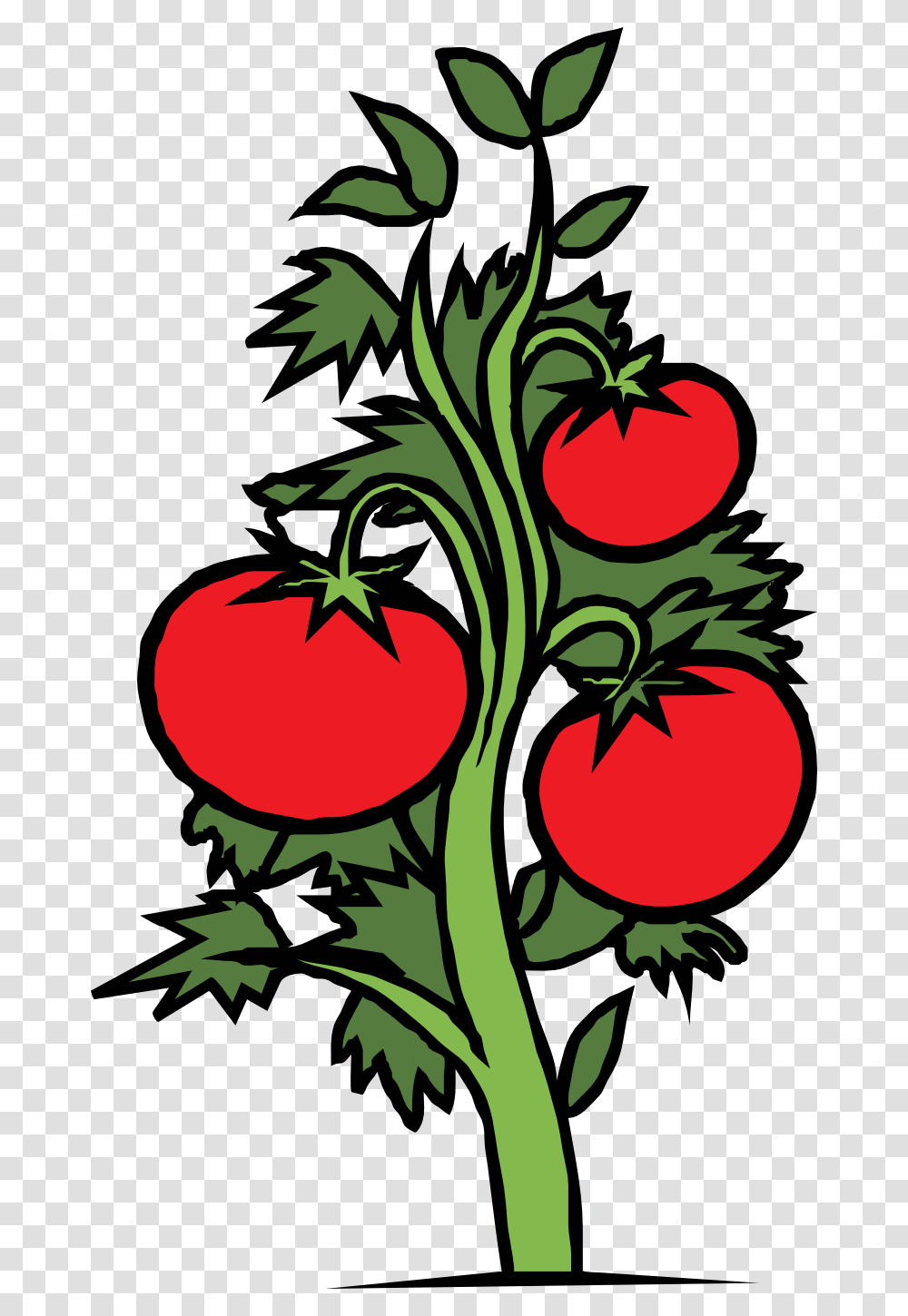 Clip Art Plants, Food, Strawberry, Fruit, Vegetable Transparent Png