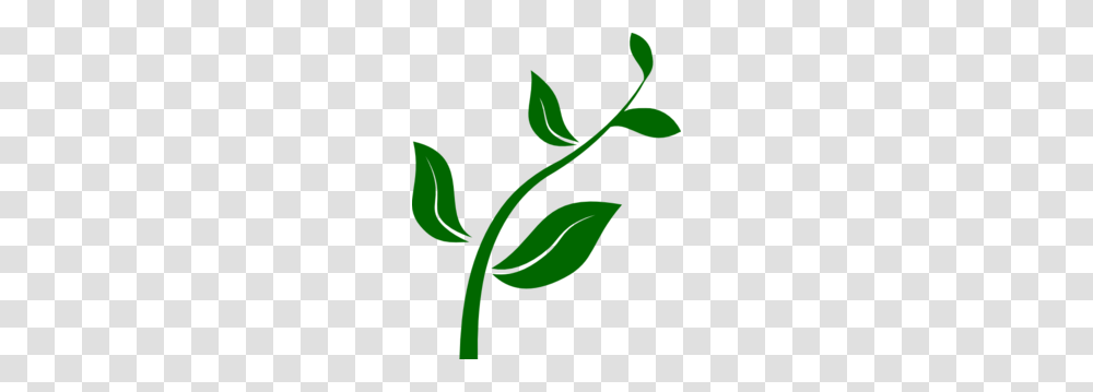 Clip Art Plants, Leaf, Green, Vase, Jar Transparent Png