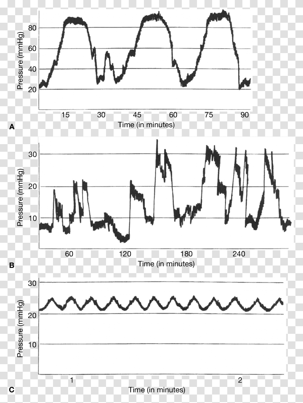 Clip Art, Plot, Diagram, Measurements Transparent Png