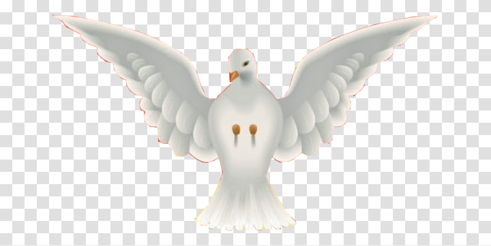 Clip Art Pomba Espirito Santo Pomba De Asas Sabedoria Entendimento Conselho Fortaleza, Dove, Pigeon, Bird, Animal Transparent Png