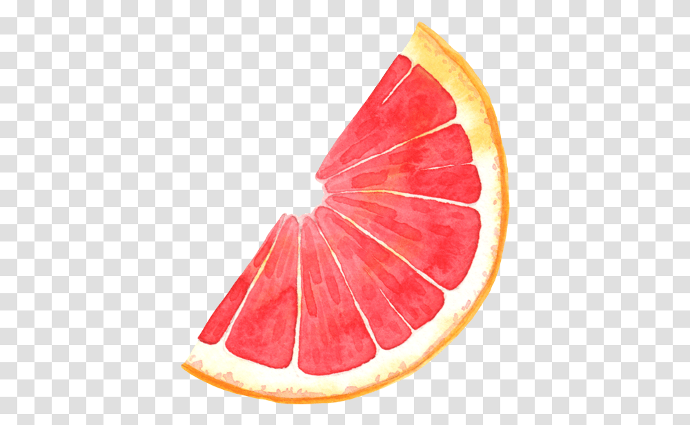 Clip Art Pomelo Blood Orange Illustration Grapefruit Cartoon, Citrus Fruit, Produce, Food, Plant Transparent Png