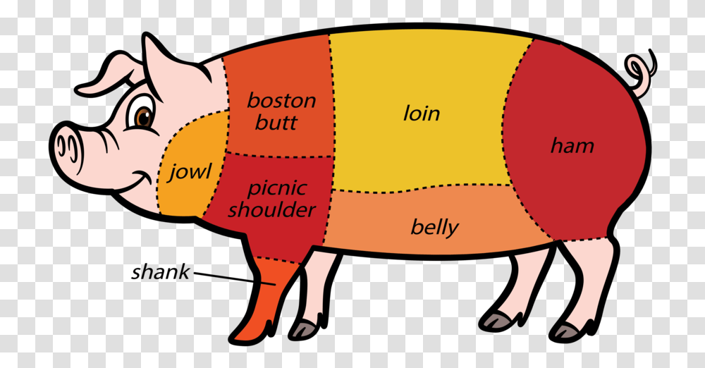 Clip Art Prime Cut Butcher Pork Diff Kinds Of Meat Cuts, Pig, Mammal, Animal, Piggy Bank Transparent Png