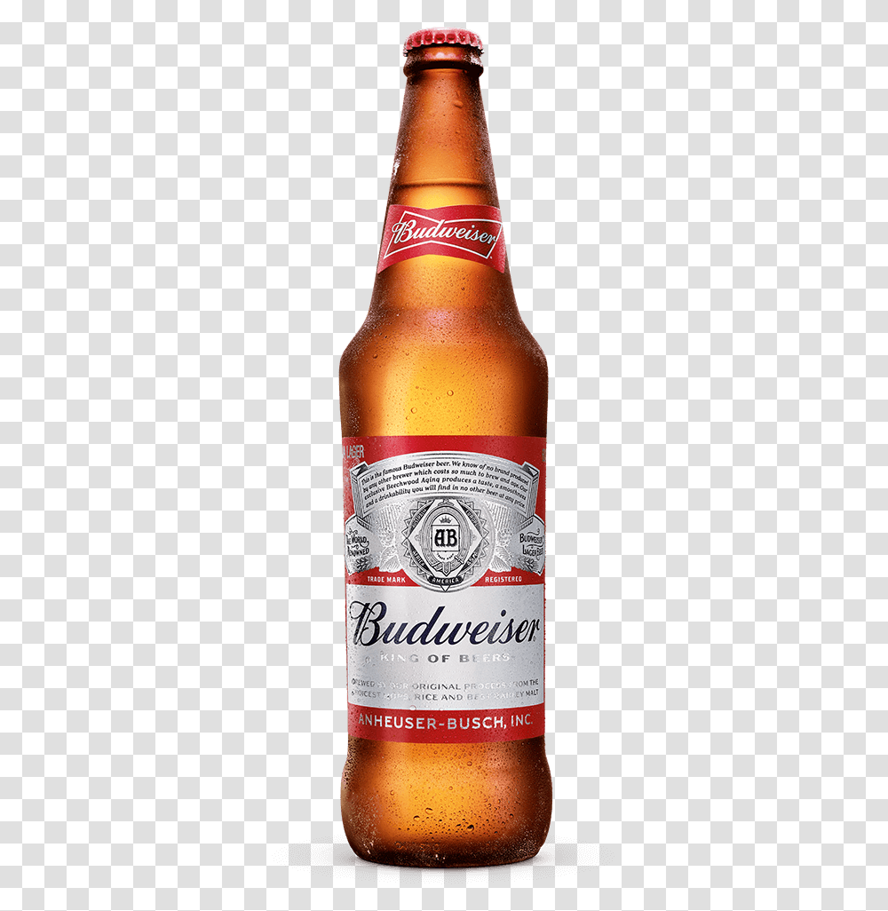 Clip Art Produtos Garrafa Ml Budweiser, Beer, Alcohol, Beverage, Drink Transparent Png