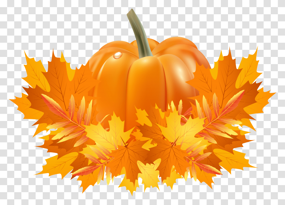 Clip Art Pumpkins And Fall Leaves Background Pumpkin Clipart Transparent Png