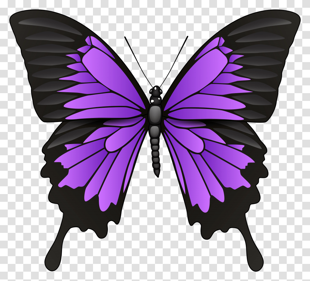 Clip Art Purple Butterfly Transparent Png
