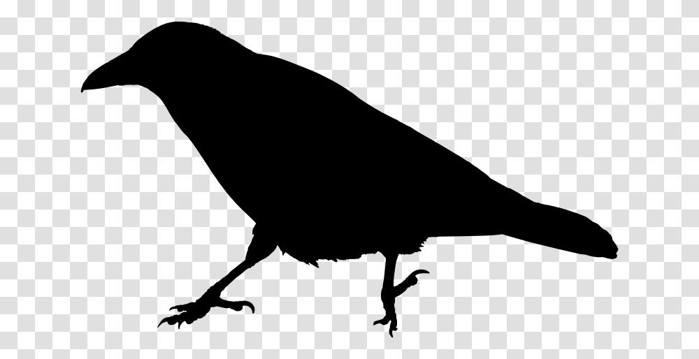 Clip Art Raven Silhouette, Gray, World Of Warcraft Transparent Png