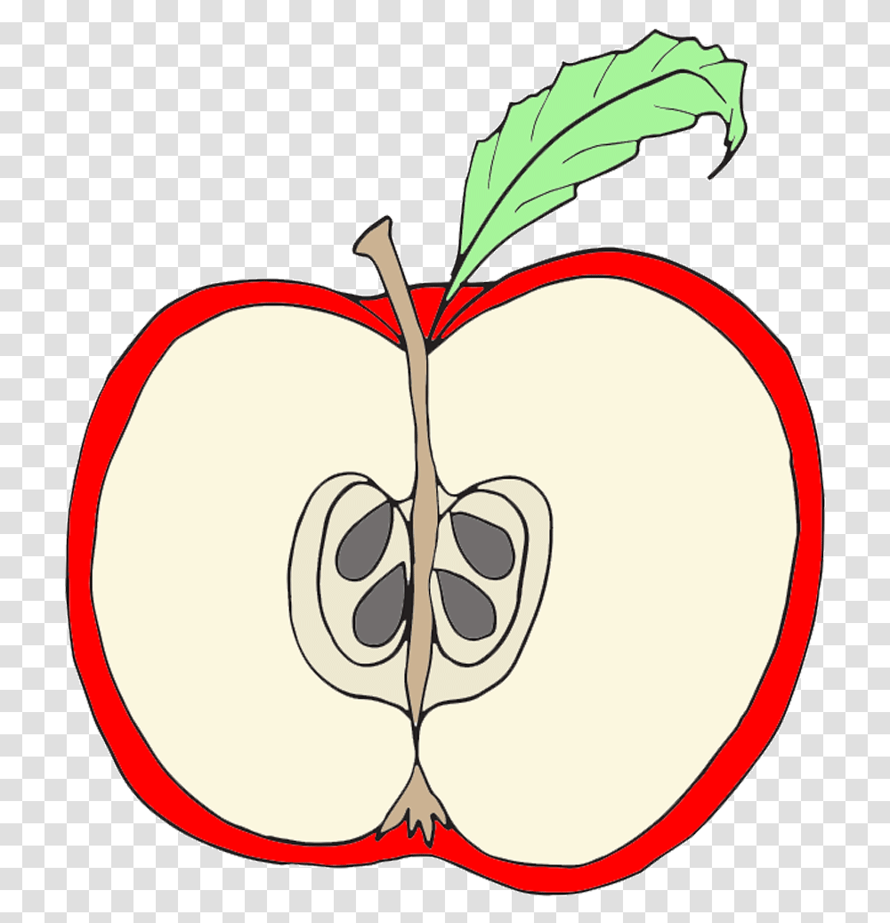 Clip Art Red Apple Clipart Wikiclipart Parts Of An Apple Clipart, Plant, Food, Fruit, Produce Transparent Png