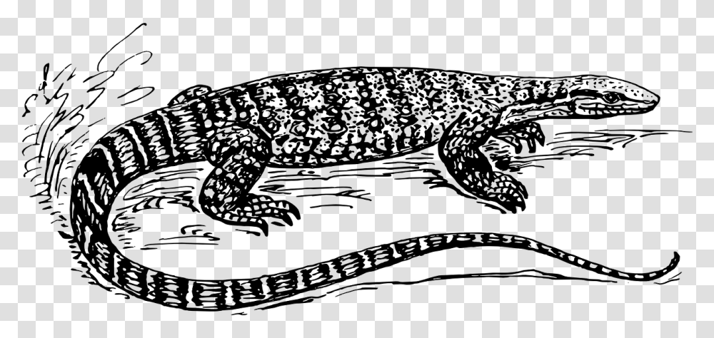 Clip Art Reptile Scale Monitor Lizard Black And White, Gray, World Of Warcraft Transparent Png