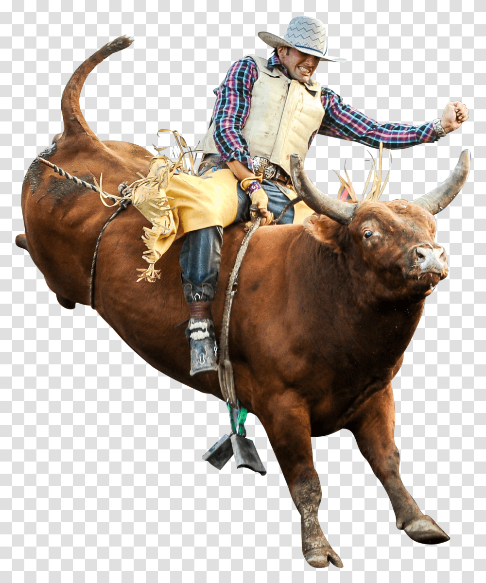 Clip Art Riding Professional Riders Rodeo Bull Riding, Mammal, Animal, Cow, Cattle Transparent Png
